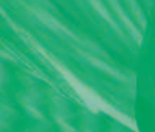 Green Shade Films