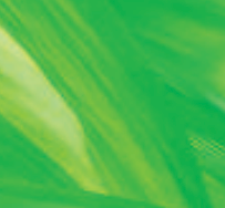 Green Shade Films
