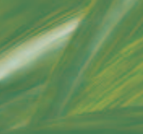 Green Shade Films