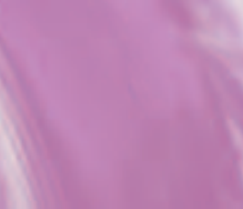 Purple Shade Films
