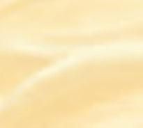 Neutral Shade Films