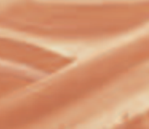 Neutral Shade Films